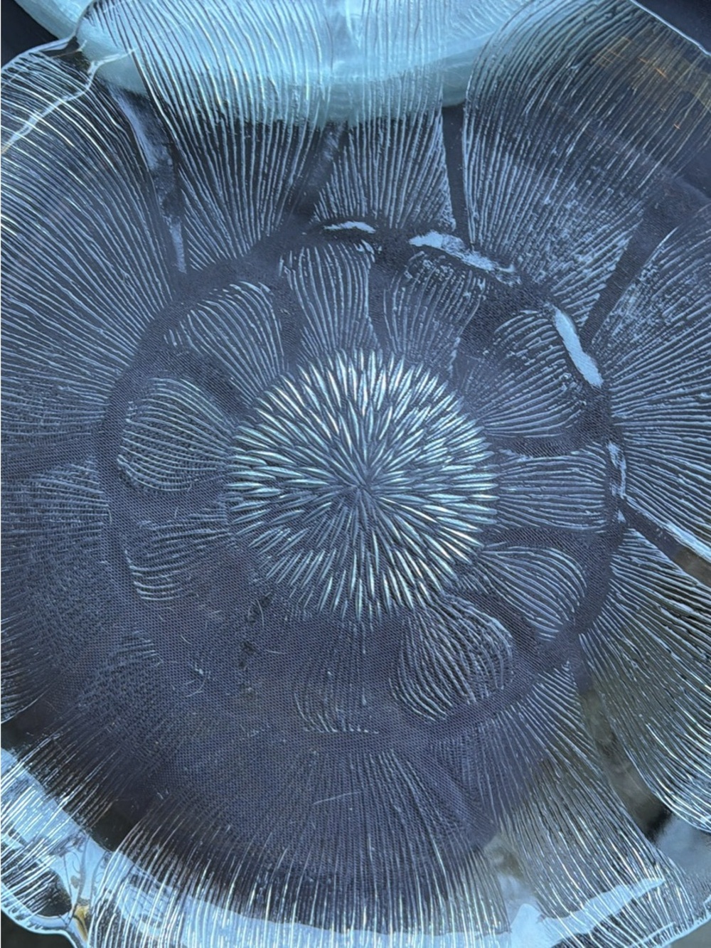 Clear  Floral Glass Dinner Plate - Brand Unspecified